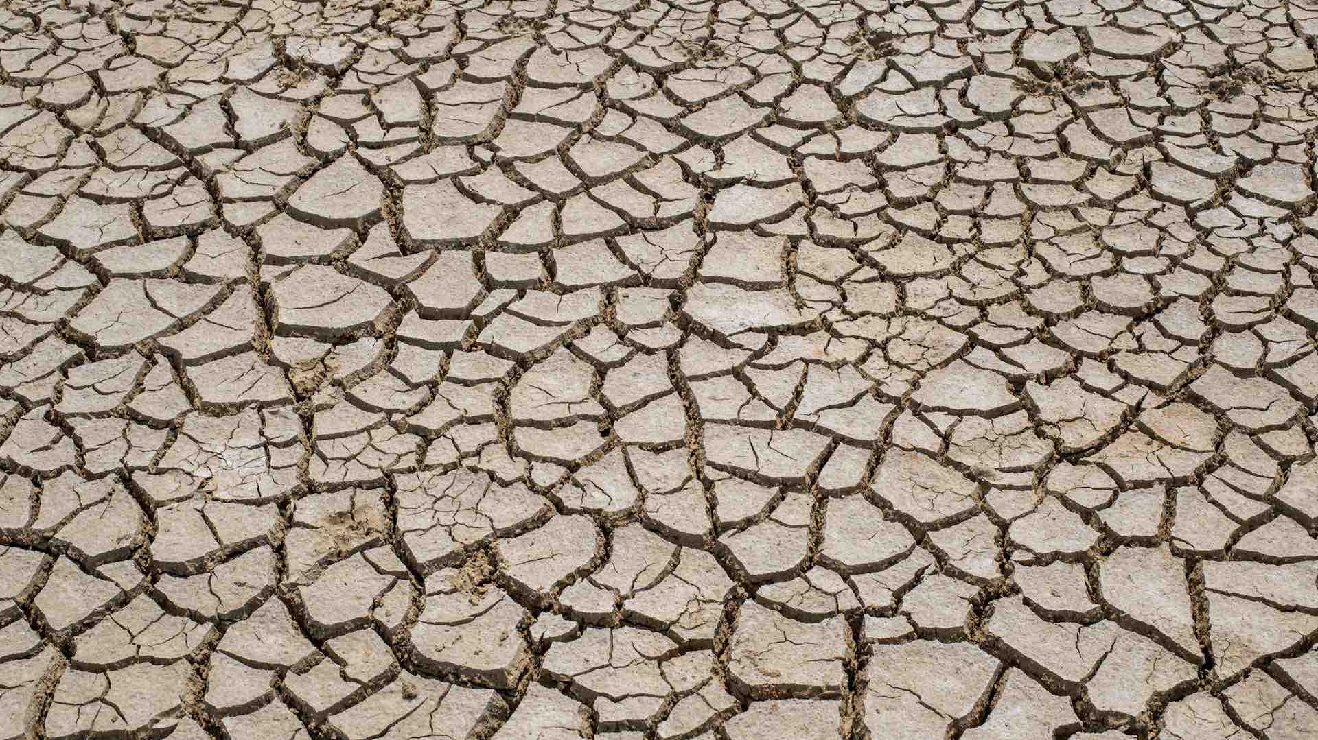 Report warns that almost half of Europe is at risk of drought